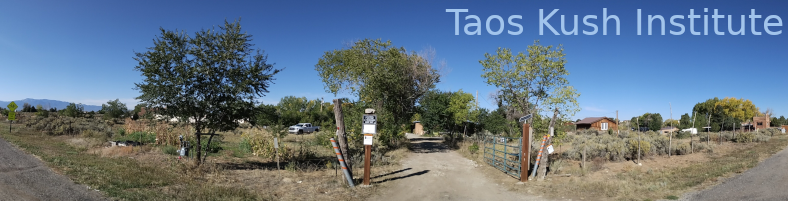 Taos Kush Institute, Inc.